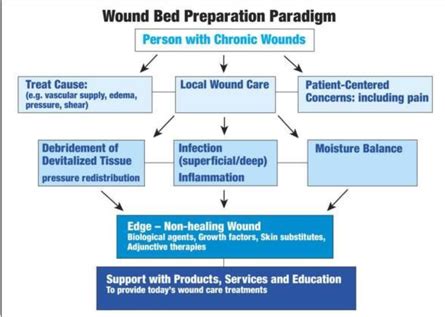 Wound management: Topical interventions and wound dressings Flashcards | Quizlet