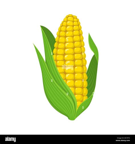 Cartoon corn hi-res stock photography and images - Alamy