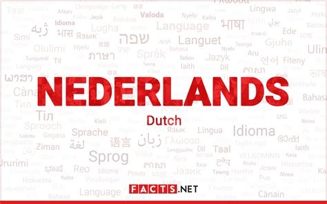 7 Fun Facts About the Dutch Language