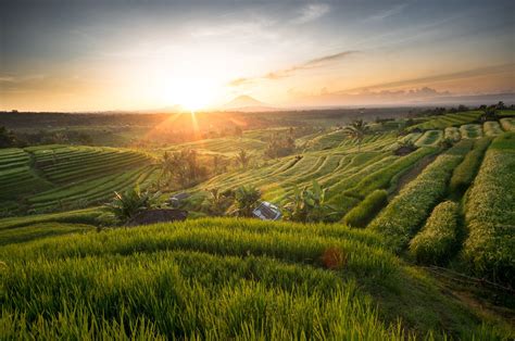 Rice Terrace Sunrise Jatiluwih Indonesia [OC][OS]|1800x1200 Street ...