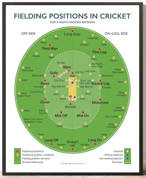 Fielding Positions In Cricket : r/coolguides