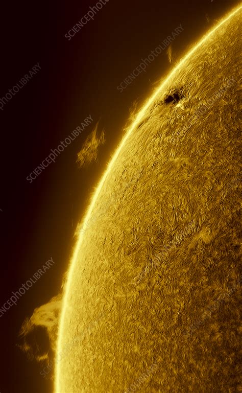 Solar prominence - Stock Image - C055/7254 - Science Photo Library