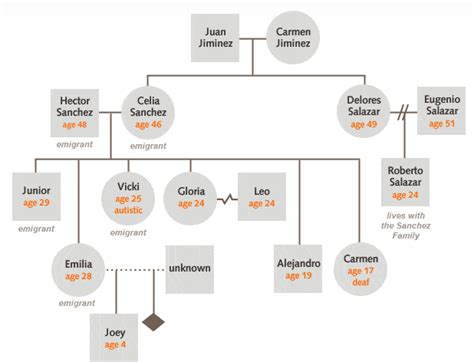 Genogram social work - goallikos