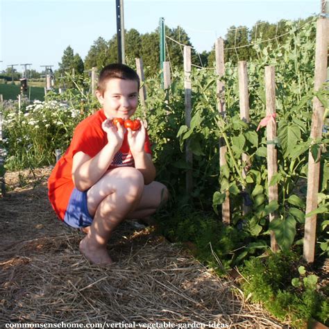 Diy Vertical Vegetable Garden Pallet | Fasci Garden