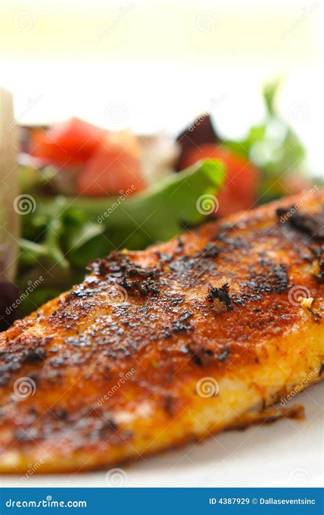 Blackened Fillet of Tilapia Salad Stock Image - Image of menu, fish ...