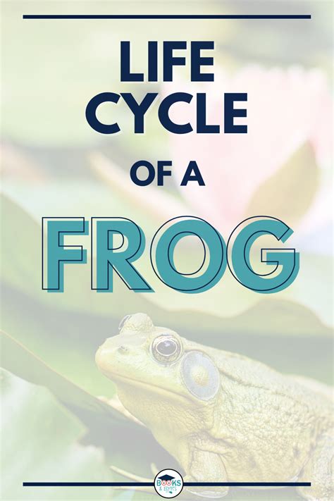 Book and lesson ideas about life cycle of a frog. — Books & Bytes Canada