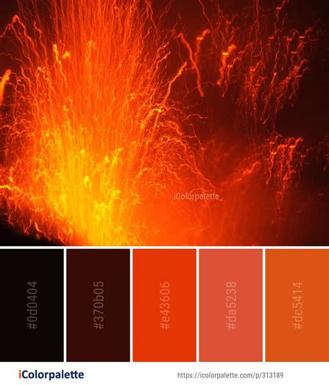 25 Shades of Orange color Palette Collection | Curated collection of ...