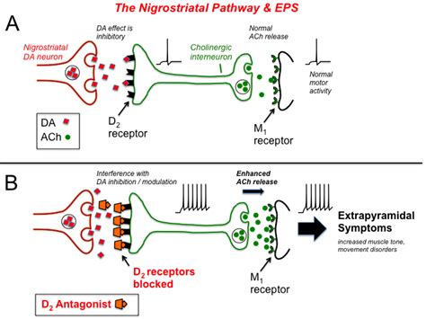 rx_of_schizophrenia [TUSOM | Pharmwiki] | Cholinergic, Extrapyramidal ...