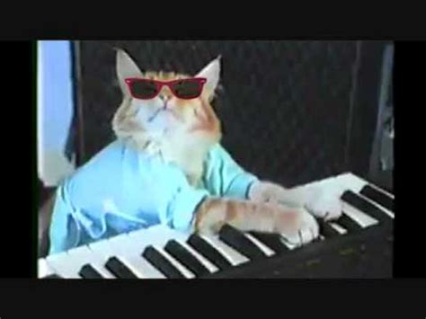 Keyboard Cat TECHNO REMIX!!! - YouTube