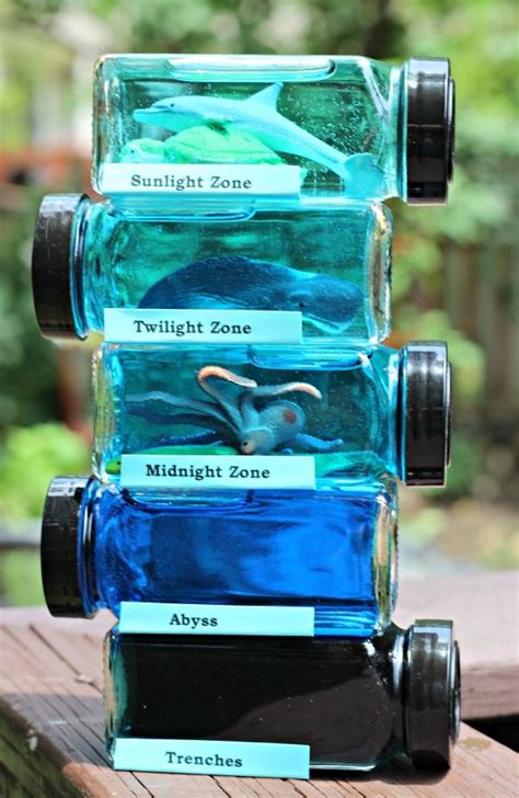 Ocean Zones for Kids: Layers of the Sea Science Project | Ocean zones, Layers of the ocean ...