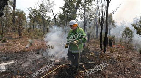 DPaW controlled burn in Mundaring Fire crews | WestPix