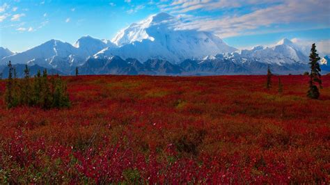 Denali National Park Pictures wallpaper | 1920x1080 | #8309