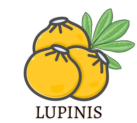 Lupin Varieties – Lupini Beans