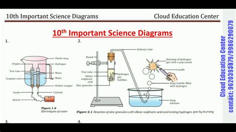 Class 7 Science Diagrams