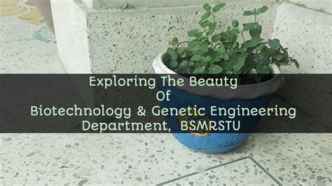 Exploring the Beauty of Biotechnology & Genetic Engineering Department ...