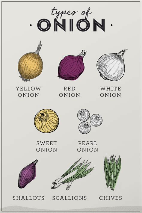 Types Of Onion Plants