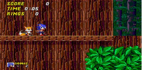 Wood Zone | Sonic beta Wiki | Fandom