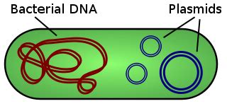 DNA ANALYSIS - simulating recombination