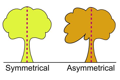 Asymmetrical is a shape that is not identical