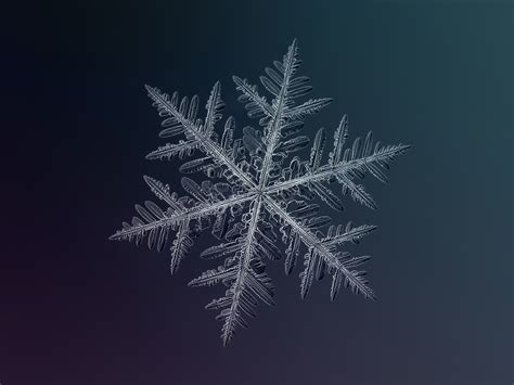 Stunning snowflakes - TODAY.com