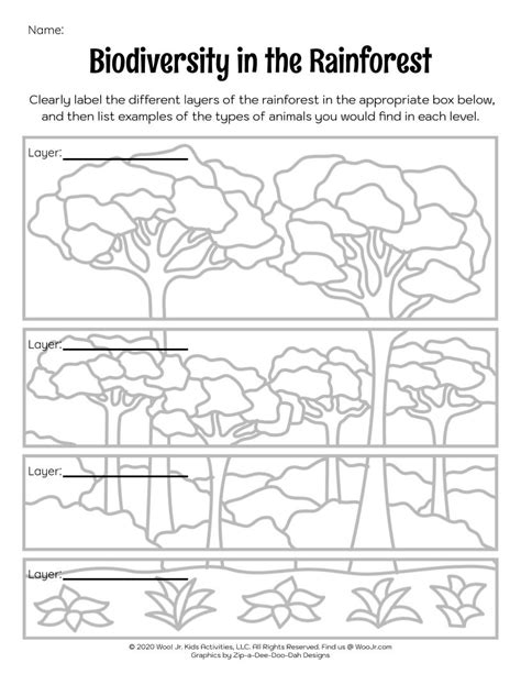 Biodiversity Rain Forest Lesson Plan Activity Worksheet | Woo! Jr. Kids ...