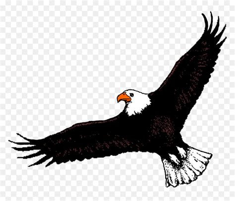 Bald Eagle Clipart Soaring Eagle - Flying Eagle Clip Art, HD Png ...