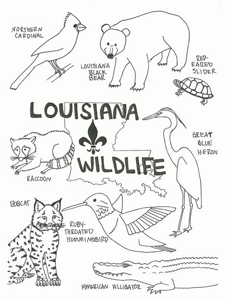 Louisiana State Flag Coloring Page - Coloring Home