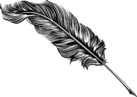 Quill Pen Illustrations, Royalty-Free Vector Graphics & Clip Art - iStock