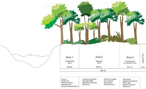 River riparian landscape design based on urban forest | Download ...