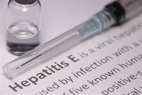 Researchers Find Path Toward Hepatitis E Treatment | Center for Health ...