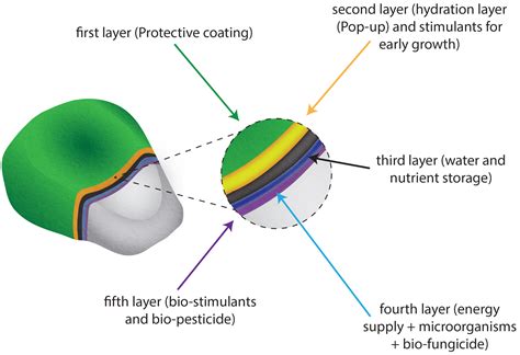 Organic Seed Coating for Food Security | Future Agro Challenge