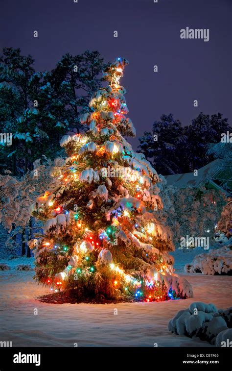 Christmas Tree Snow Lights Outdoors Stock Photos & Christmas Tree Snow ...