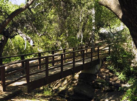 Wooden Bridge Free Stock Photo - Public Domain Pictures