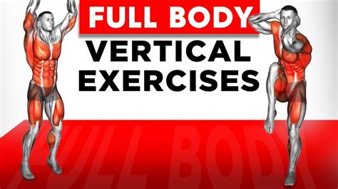 Full Body Vertical Exercises - YouTube