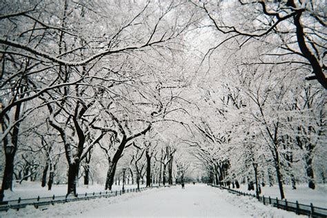 🔥 [45+] Central Park Winter Wallpapers | WallpaperSafari