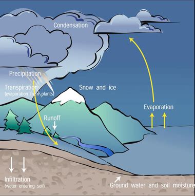 Earth's Water Cycle - Windows to the Universe