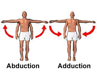 Abduction vs Adduction…picture truly worth a thousand words | Physical ...