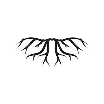 Roots Vector Art PNG Images | Free Download On Pngtree