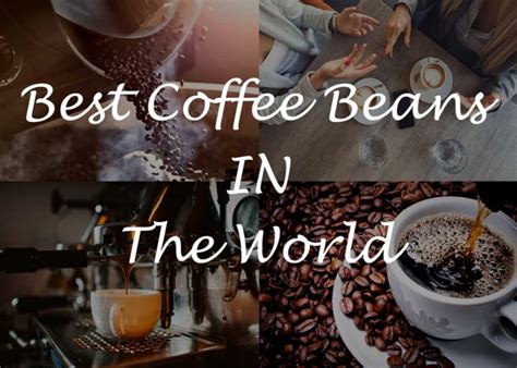 Best Coffee Beans: 10 Best Coffee Beans In The World (November 2019)