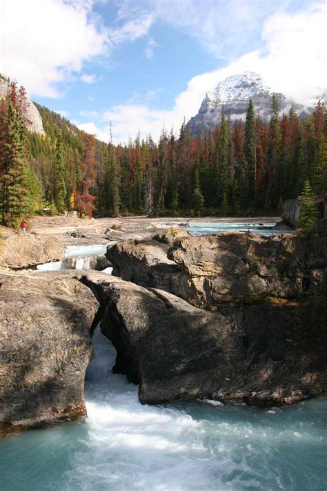 Natural Bridge - A Kicking Horse River Cascade beneath Rocks