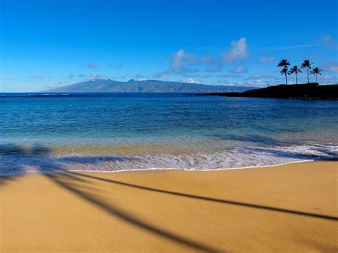 10 Best Beaches in Maui | Best beaches in maui, Maui resorts, Maui travel