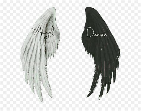 Angel And Demon Wings