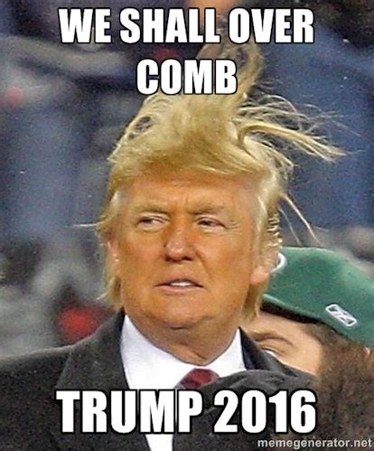 16 Donald Trump Hair Memes So Funny You’ll Actually Be Grateful He’s ...