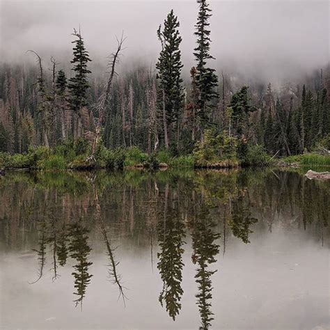 Rocky Mountain National Park Hiking... | National park road trip, National parks, Us national parks