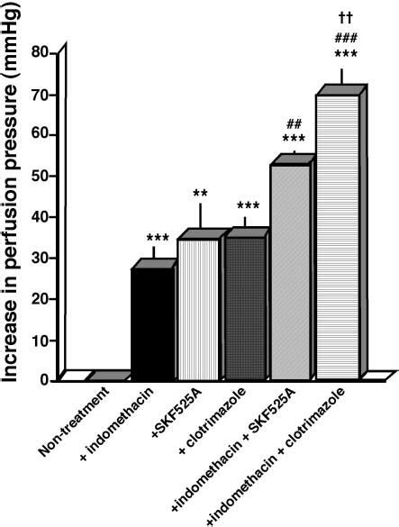 Effects of indomethacin (10 -5 M), SKF525A (10 -5 M) and clotrimazole ...