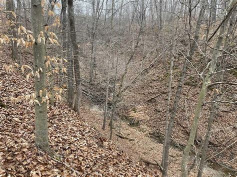 Land For Sale Morgan County, Indiana / Recreational / Tillable. | Morgan County | Paragon, IN