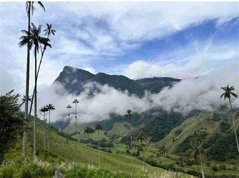 The Best Things to Do in Salento, Colombia for a 2-Day Trip - Ready, Set, PTO