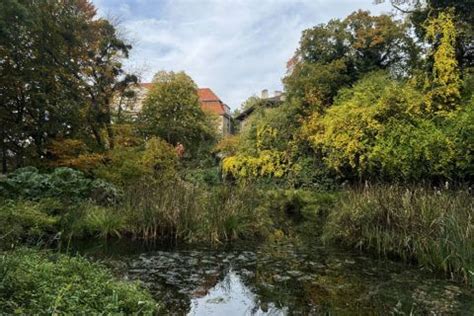 Göttingen, historic city of half-timbered houses and science – silver ...