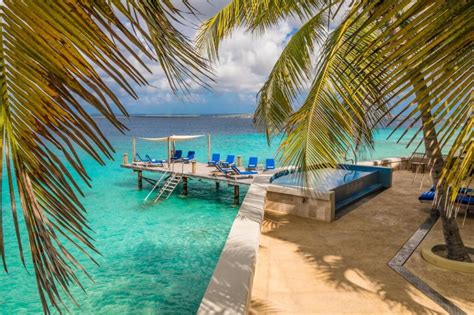 15 Best Hotels in Bonaire: Top Places to Stay - Stay to Wander