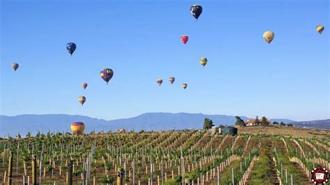 Ready For Temecula Balloon & Wine Festival? | Aall In Limo & Party Bus